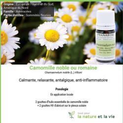 Pharmacie et Parapharmacie PHARMACIE DES QUATRE CHEMINS DES ROUTES - 1 - 