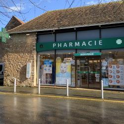 Pharmacie Flotte Noyen Sur Sarthe