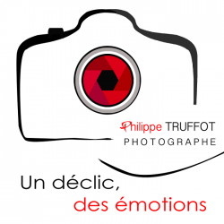 Photo Philippe Truffot Photographe - 1 - 