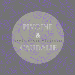 Pivoine Et Caudalie - Paris 11 ème - Expériences Végétales Paris