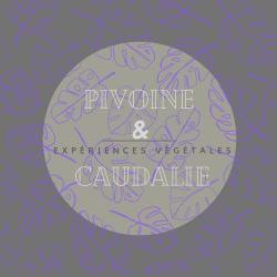 Fleuriste Pivoine et Caudalie - Paris 11 ème - Expériences Végétales - 1 - 
