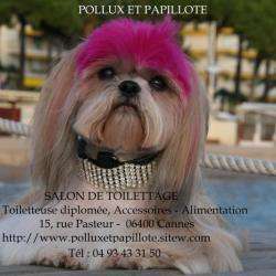 Pollux Et Papillote Cannes
