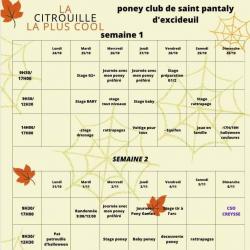 Centre équestre PONEY CLUB DE ST PANTALY D EXCIDEUIL - 1 - 