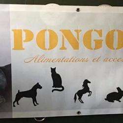 Marché Pongo&Co - 1 - 