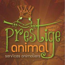Prestige Animal Saint Jean De Braye