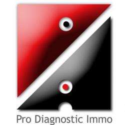 Diagnostic immobilier PRO DIAGNOSTIC IMMO - 1 - 