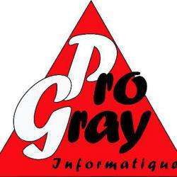 Commerce Informatique et télécom Pro Gray Informatique - 1 - 
