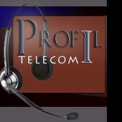 Commerce Informatique et télécom Profil Télécom - 1 - 