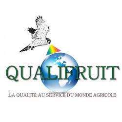 Primeur QUALIFRUITS - 1 - 