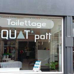 Salon de toilettage Quat'Patt Toilettage - 1 - Crédit Photo : Page Facebook, Quat'patt Toilettage - 