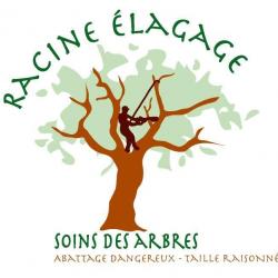 Racine Elagage Soulitré