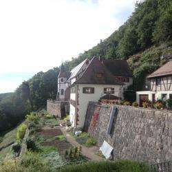 Site touristique Randonnée du Schauenberg - 1 - Le Schauenberg , Prieuré Qui Domine La Plein D'alsace  - 