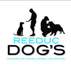 Reeducdog's Ecully