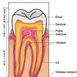 Dentiste REIBEL HERVE - 1 - 