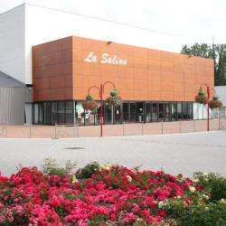 Théâtre et salle de spectacle Relais culturel La Saline - 1 - 