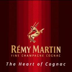 Musée Remy martin et cie - 1 - 