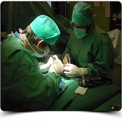 Chirurgien Renaud Fabrice - 1 - 