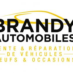 Renault Oradour-sur-vayres - Brandy Sarl