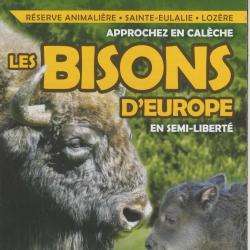 Parc animalier Reserve De Bisons D'europe - 1 - 