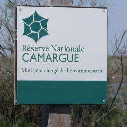 Réserve Nationale De Camargue Arles