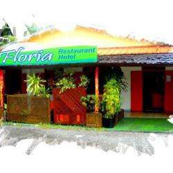 Hôtel et autre hébergement Restaurant Floria - 1 - 