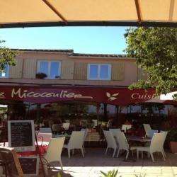 Restaurant Le Micocoulier Gassin