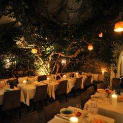 Restaurant Restaurant Salama - 1 - Jardin Couvert Du Restaurant Et Son Bougainvillier Centenaire - 