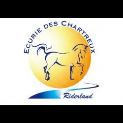 Riderland Ecurie Des Chartreux Saulx Les Chartreux