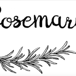 Fleuriste Roseramary - 1 - 