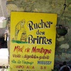 Rucher Des Briffes Mieussy