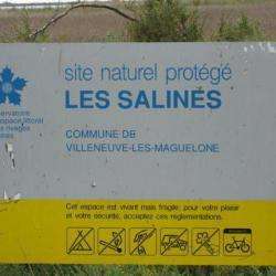 Site touristique salines de Villeneuve - 1 - 