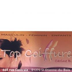 Salon Top Coiffure Saint Etienne Du Bois