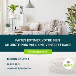 Agence immobilière Salviat Mickael - Conseiller Immobilier - 1 - 