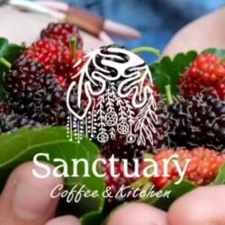 Sanctuary Coffee & Kitchen   Aix En Provence