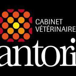 Vétérinaire Santoria Cabinet Vét. Sainte Cécile - 1 - 