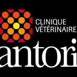 Vétérinaire Santoria Clinique Vétérinaire Saint Roch - 1 - 