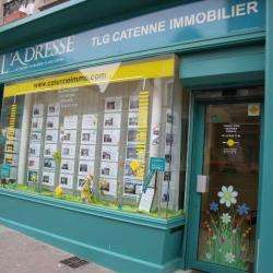 Agence immobilière Catenne Immobilier - 1 - 