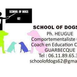 Educateur Canin School Of Dogs 62 Guarbecque