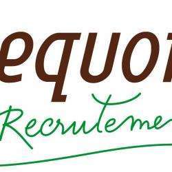 Agence d'interim Sequoia Recrutement - 1 - 