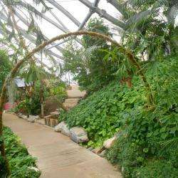 Parc animalier Serre tropicale des Antilles de Jonzac - 1 - 