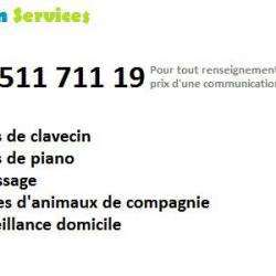 Ménage Services-Lyon - 1 - 