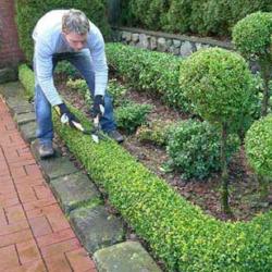 Jardinage Services Verts - 1 - 