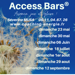 Cours et formations Séverine Musa - Facilitatrice Access Bars - 1 - 