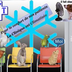 Vétérinaire Sevetys Clinique Vétérinaire Verrieres - 1 - Clinique Climatisée Pour Le Confort De Tous ! - 
