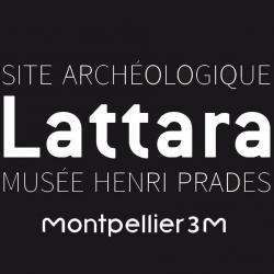 Site Archéologique Lattara  Lattes