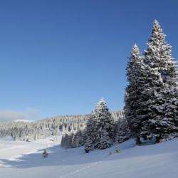 Parcs et Activités de loisirs Ski Nordique Plateau d'Hauteville - 1 - 