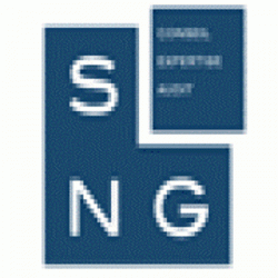 Comptable SNG CONSEILS EXPERTISE AUDIT - 1 - 