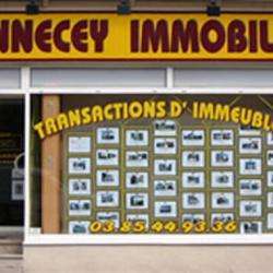 Agence immobilière SENNECEY IMMOBILIER - 1 - 
