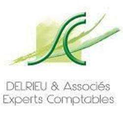 Delrieu And Associés Experts Comptables Albi