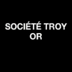Concessionnaire Société Troy Or - 1 - 